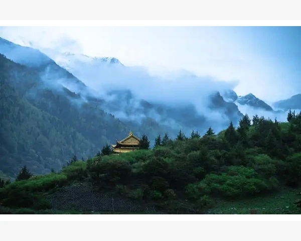 老人气血不足化痰：中医传统疗法帮助您恢复健康
